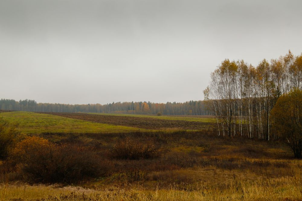 Photograph by Елена Буканина