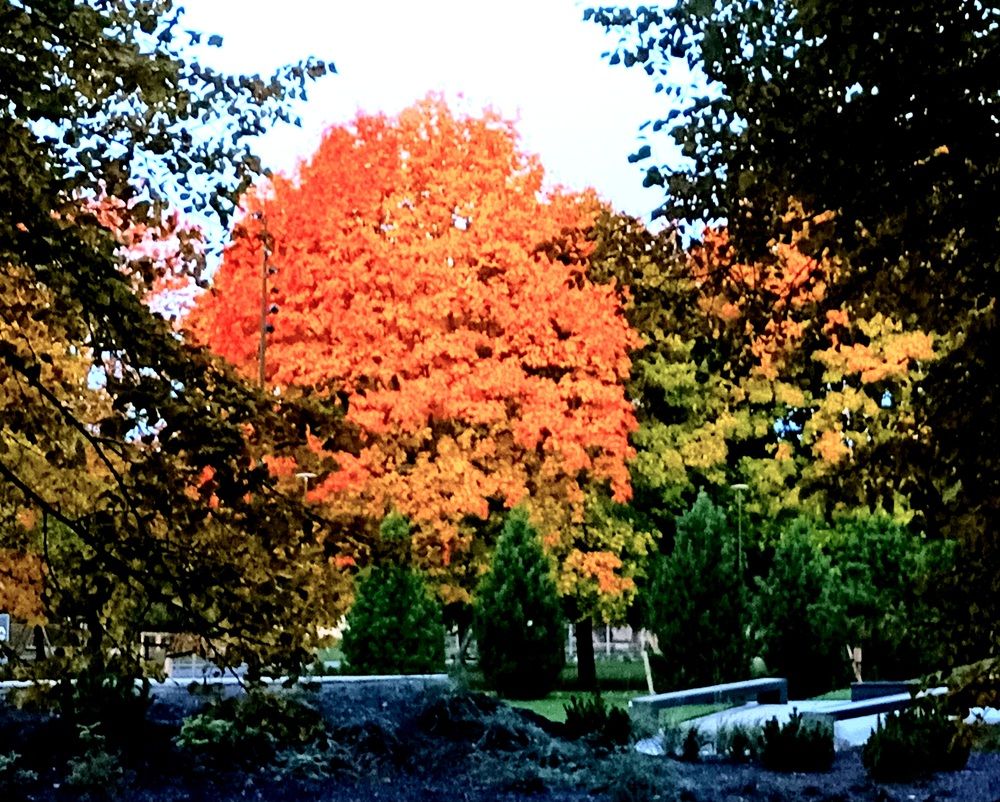 Фотография автора Maks Lanister