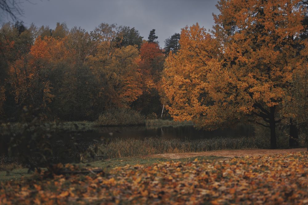 Photograph by Мария Клещенко