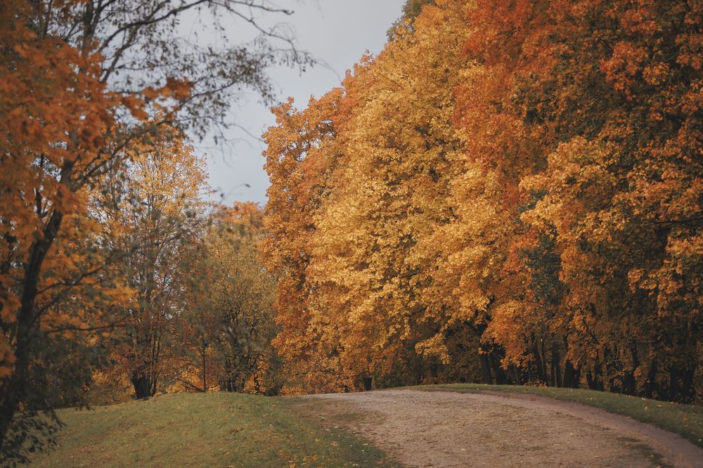 Photograph by Мария Клещенко