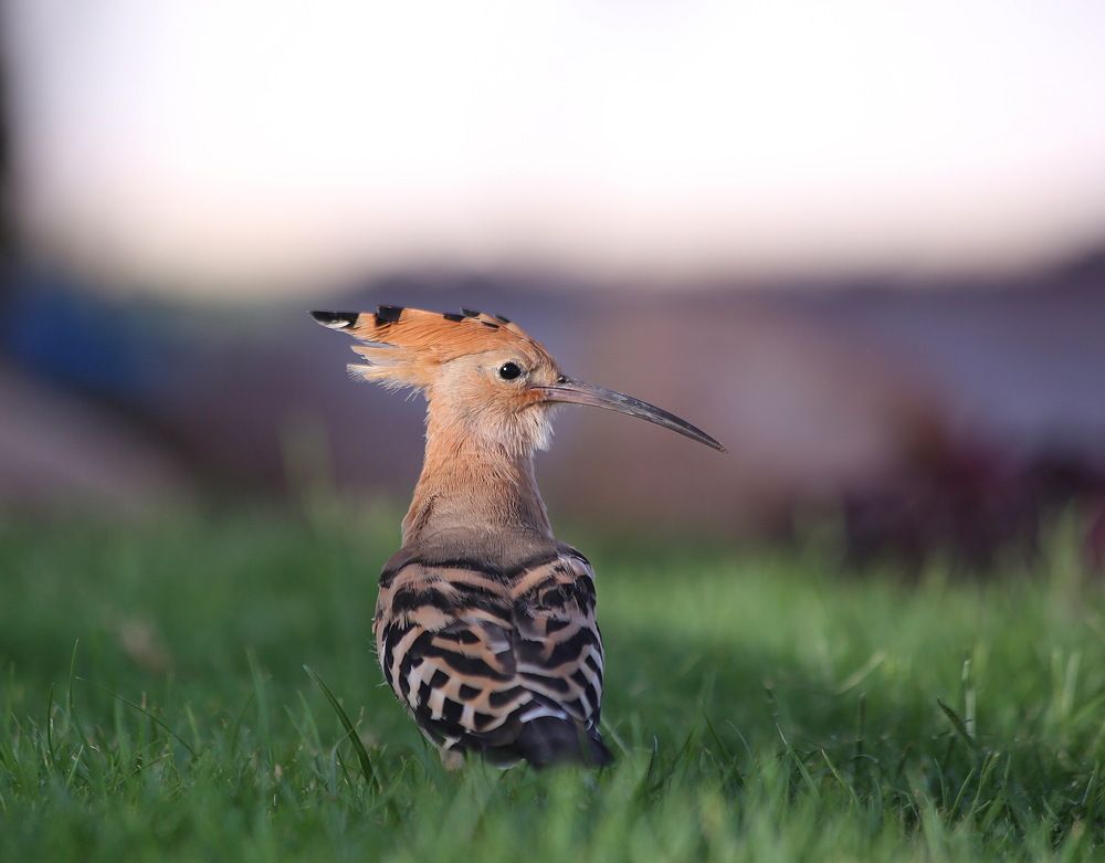 Photograph by Александр Юдин