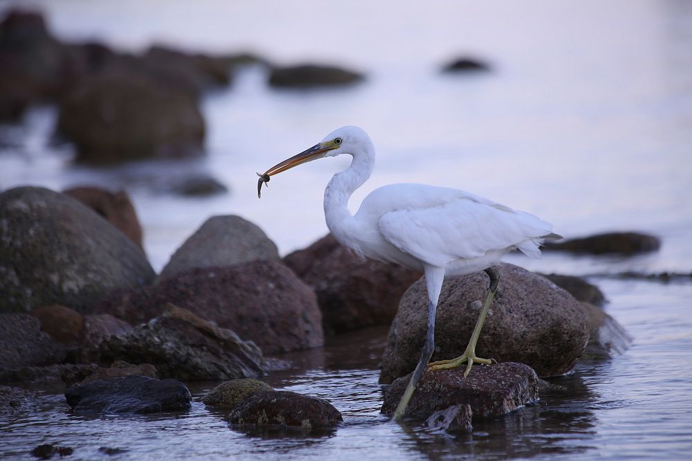 Photograph by Александр Юдин