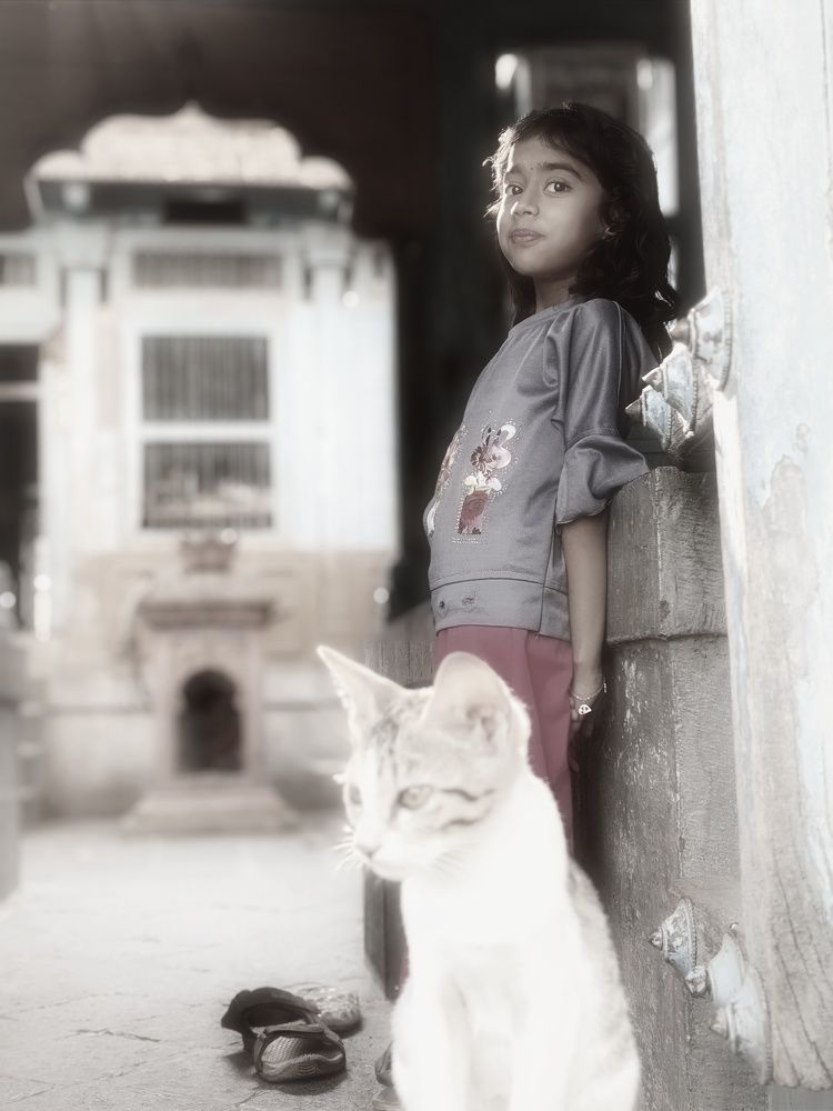 Photo #11155556
