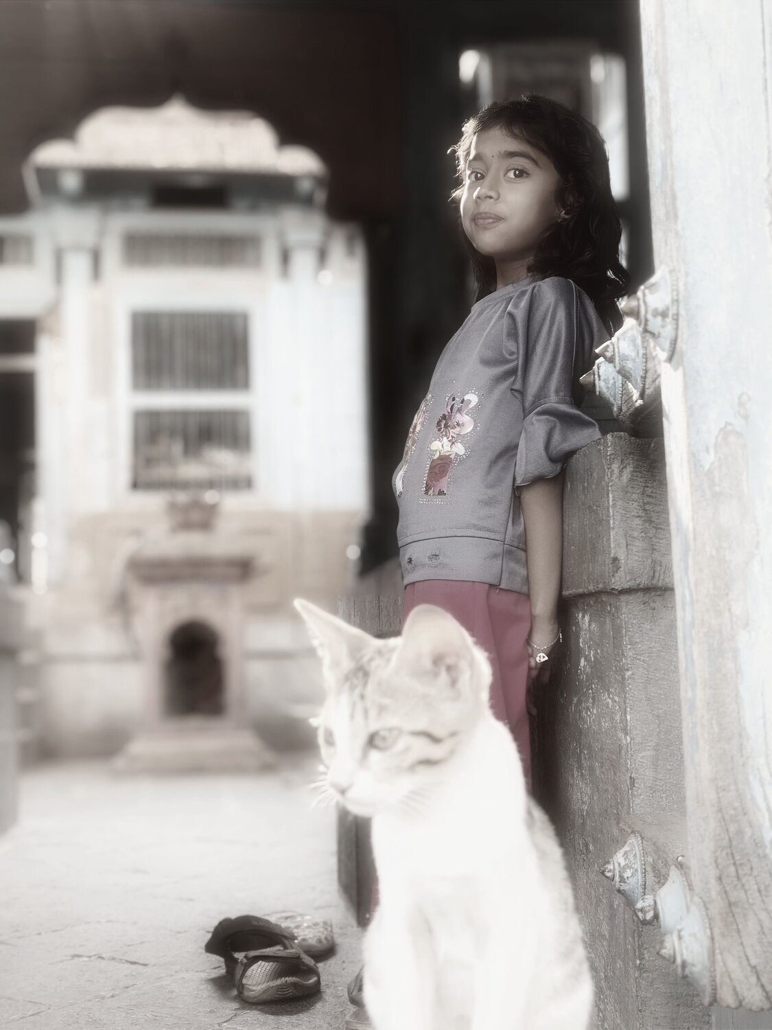 Photo #11155556