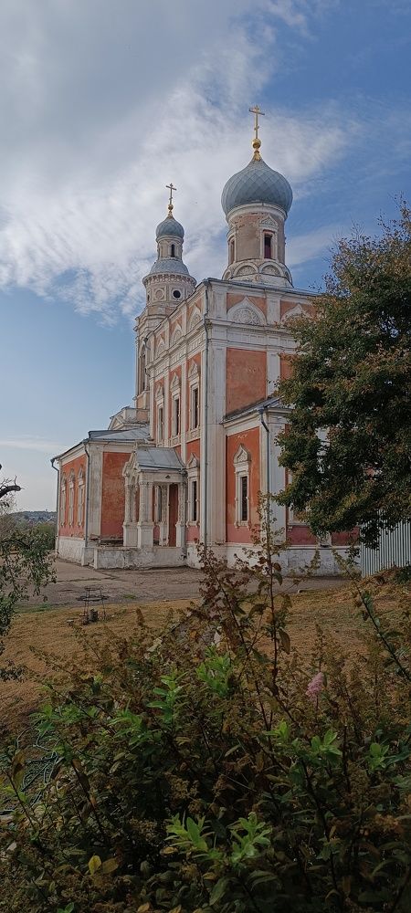 Фотография автора Дарья Петровская