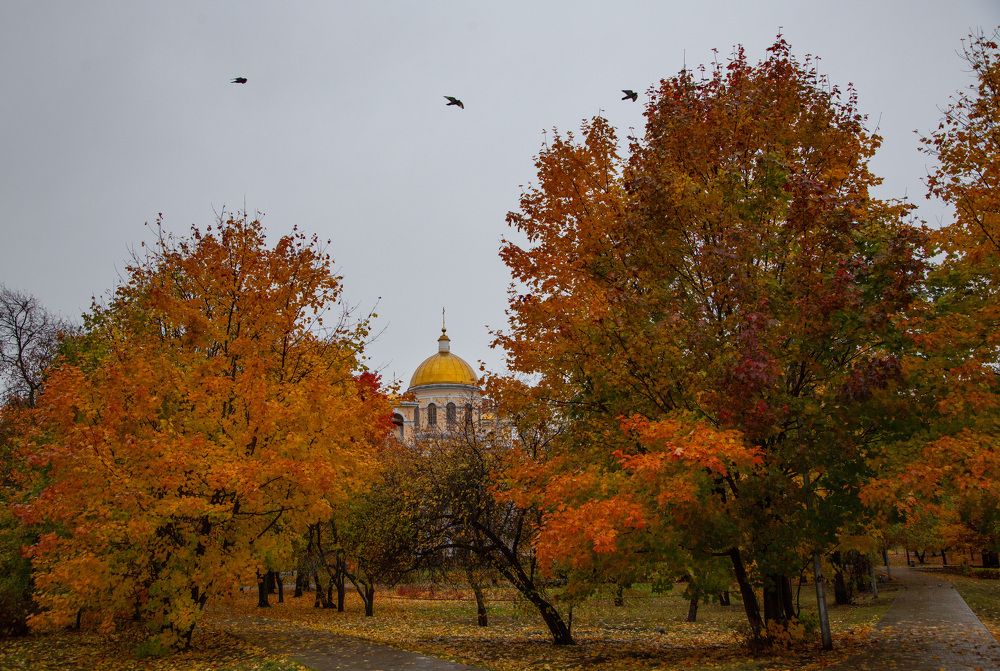 Photograph by Lev Kaufman