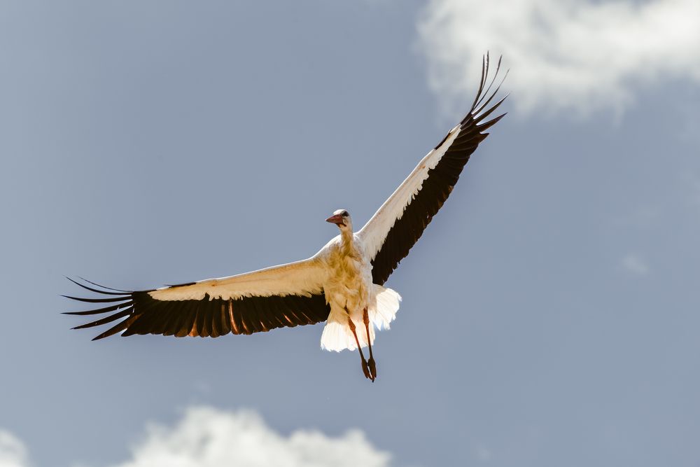 Photograph by Колесенко Иван