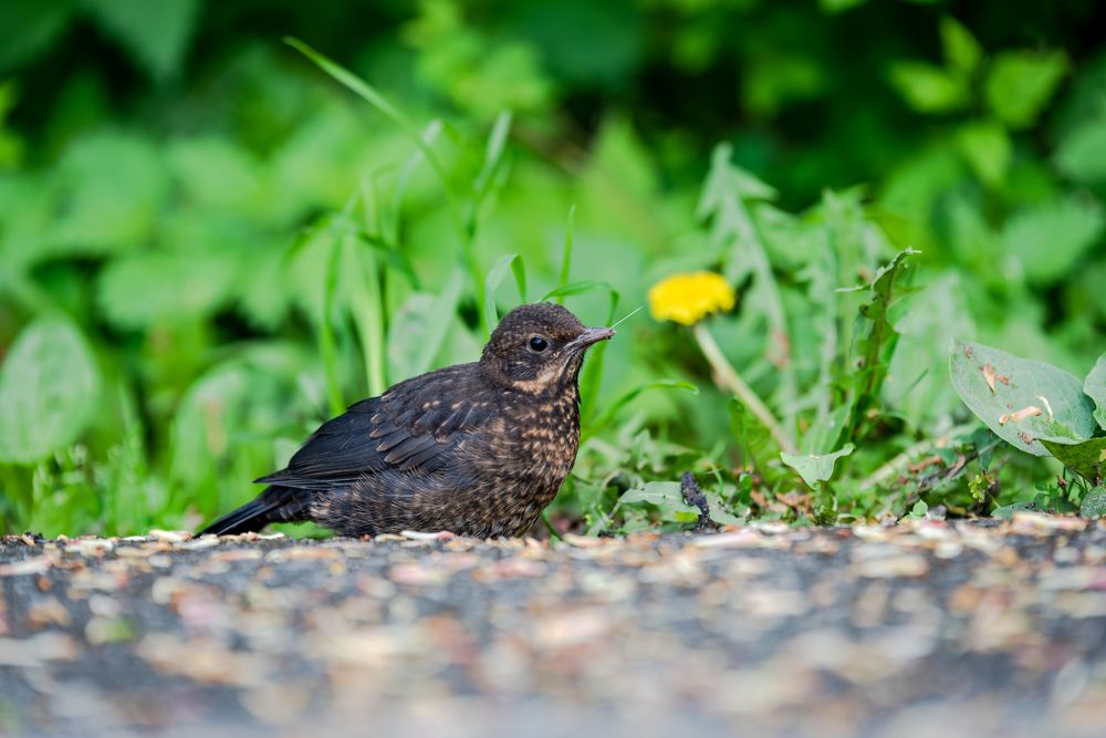 Photograph by Алексей Петров