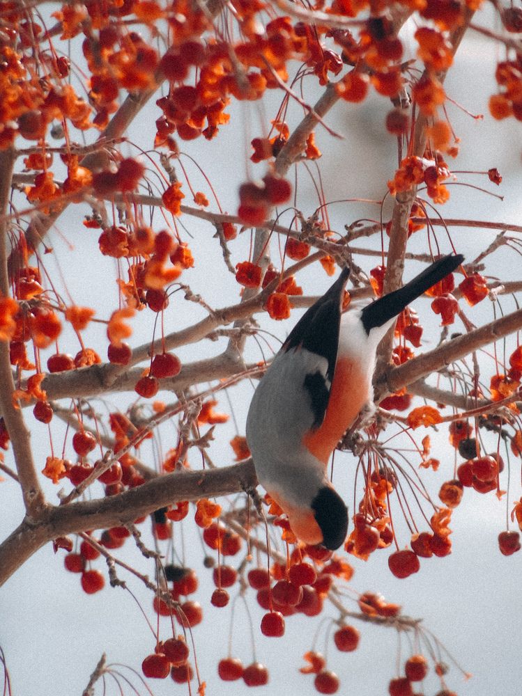 Photograph by Анастасия Дынина