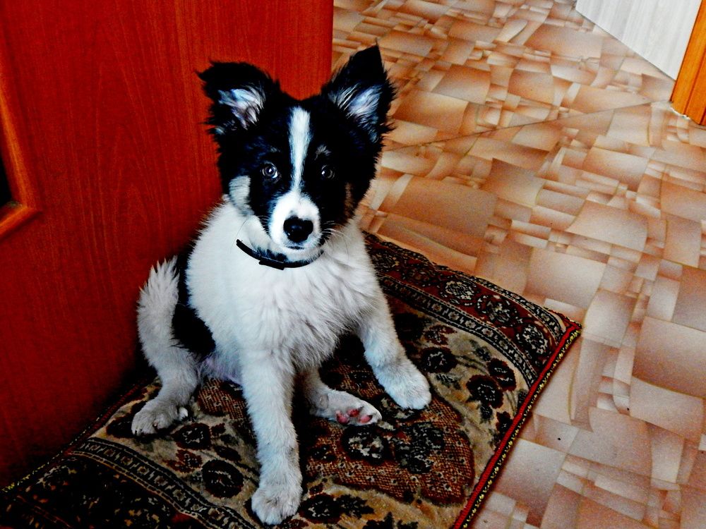 Photograph by Дмитрий Симагин