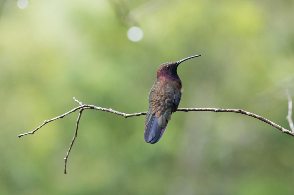 Photograph by Мураков Максим