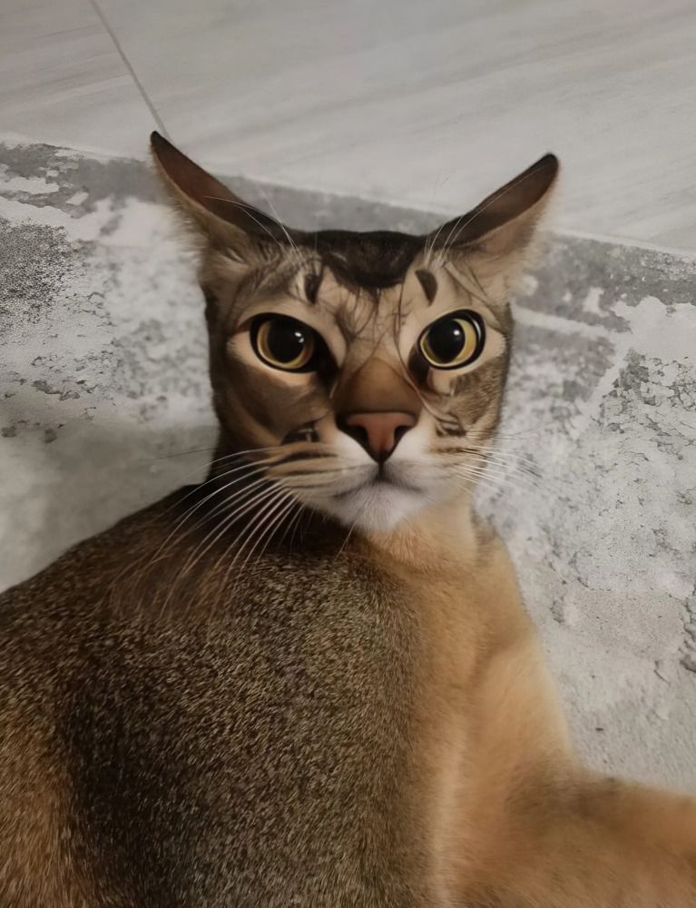 Photograph by Елена Сухорученкова