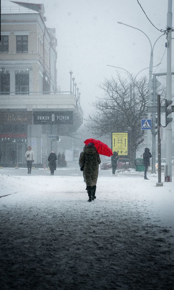 Фотография автора Геннадий Ломеко