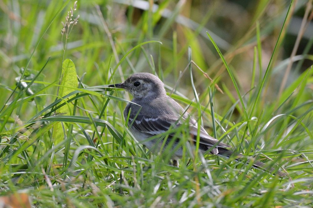 Photograph by Алексей Фомичев