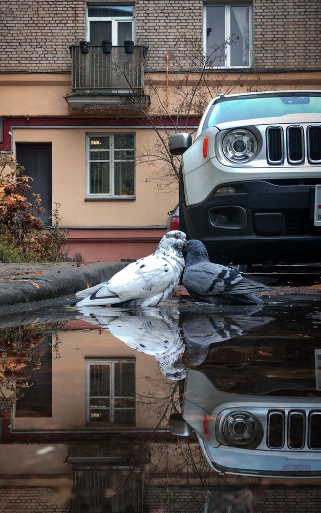 Фотография автора Геннадий Ломеко