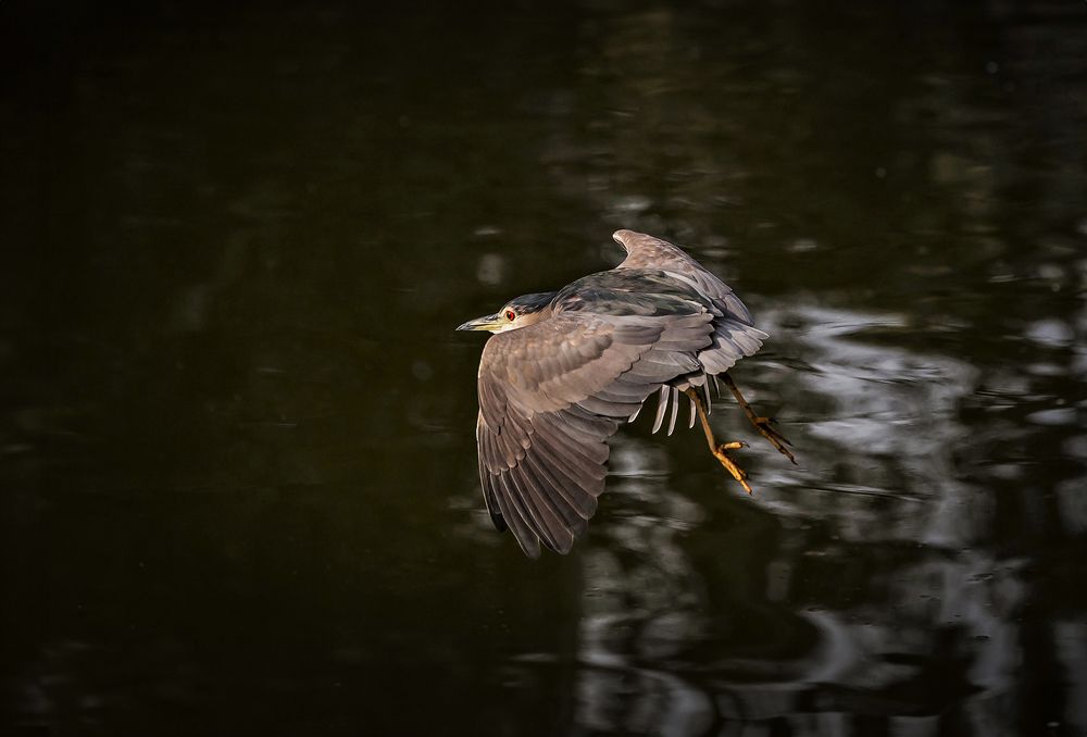 Photograph by Vladimir Sarichev