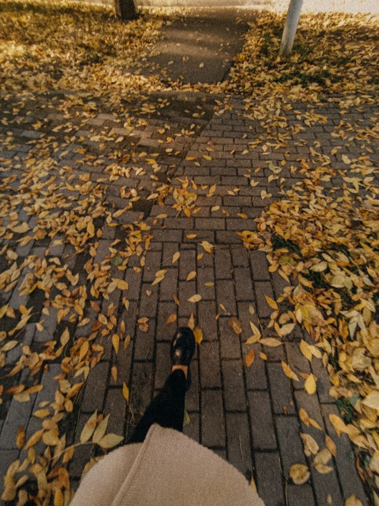 Photograph by Вероника Белько
