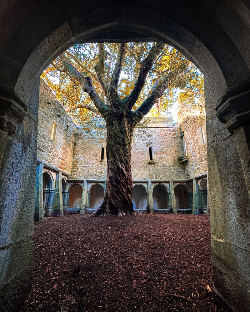 Photograph by Michael Deligan