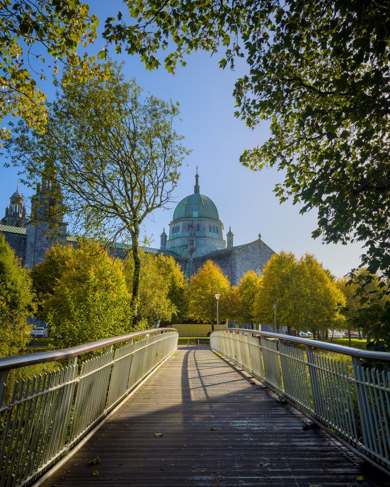 Photograph by Michael Deligan