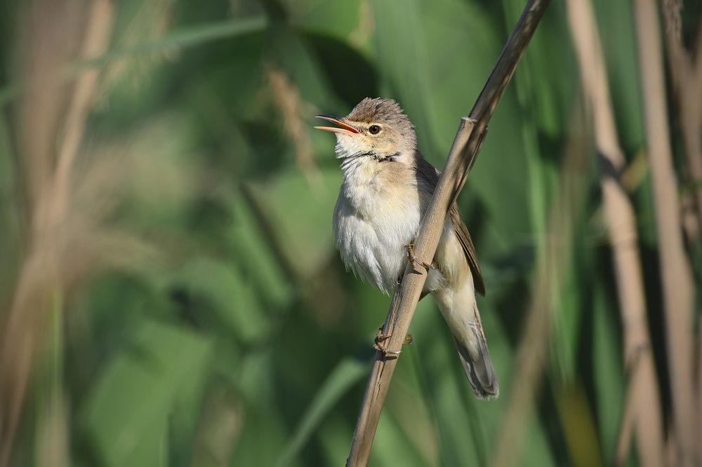 Photograph by Анатолий Садовский
