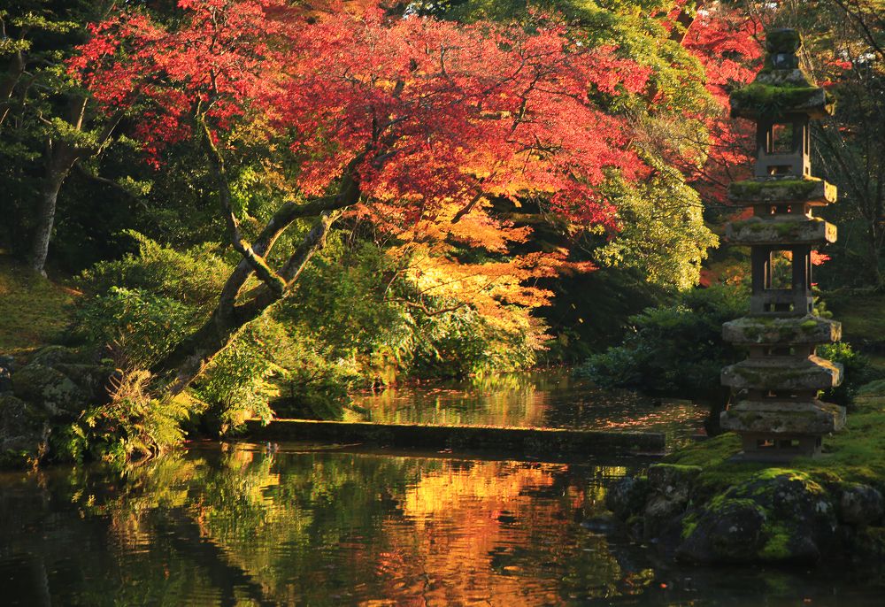 Фотография автора Nikolay Suglobov