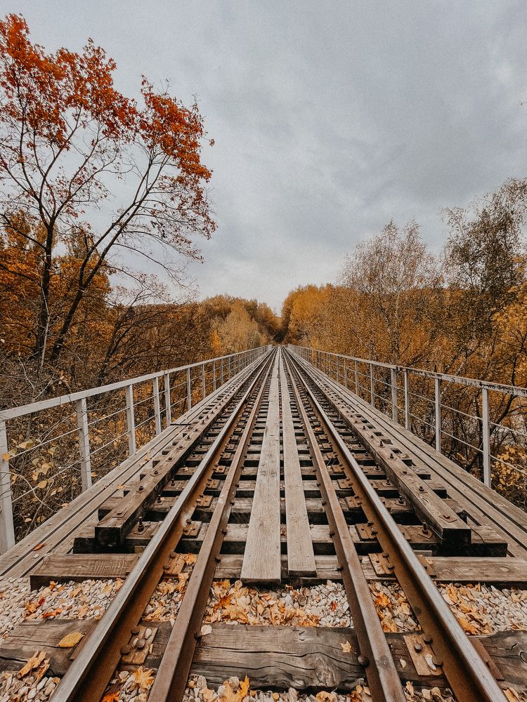 Photograph by Светлана Смук