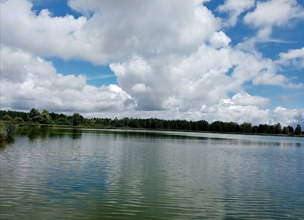 Photograph by Елена Сухорученкова