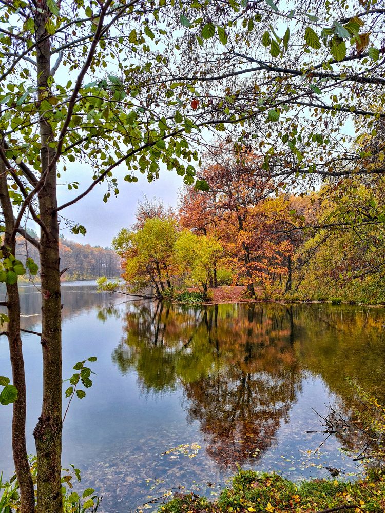 Photograph by Людмила Григорьева