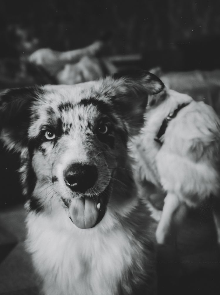 Photograph by Yuliya Karpova