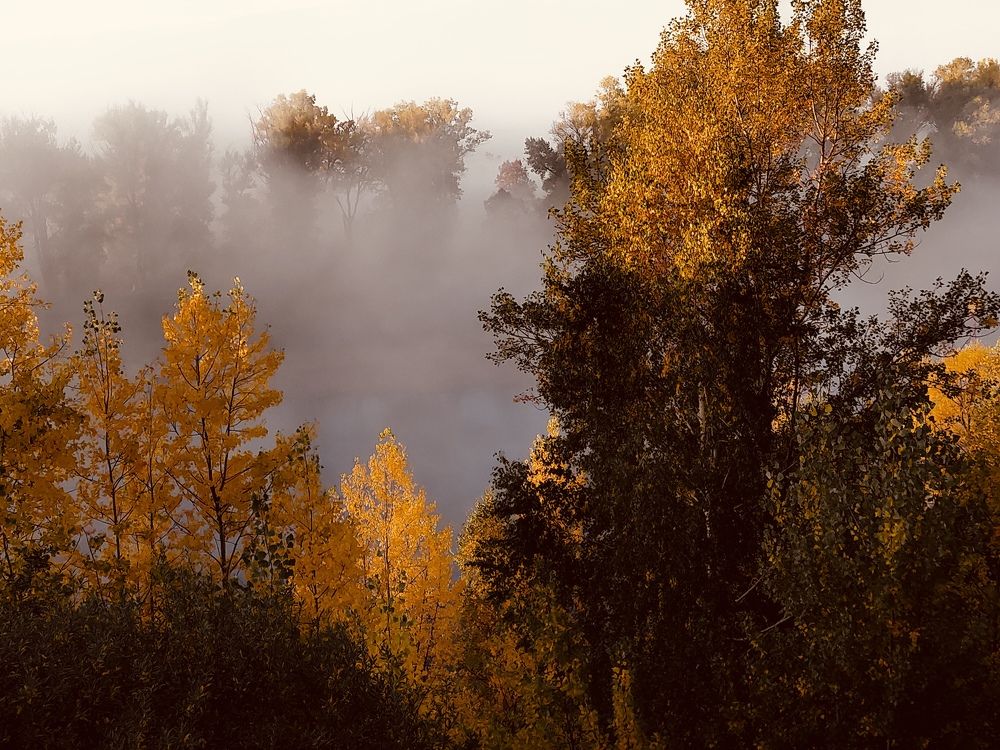 Photograph by Ivangelion [JS]