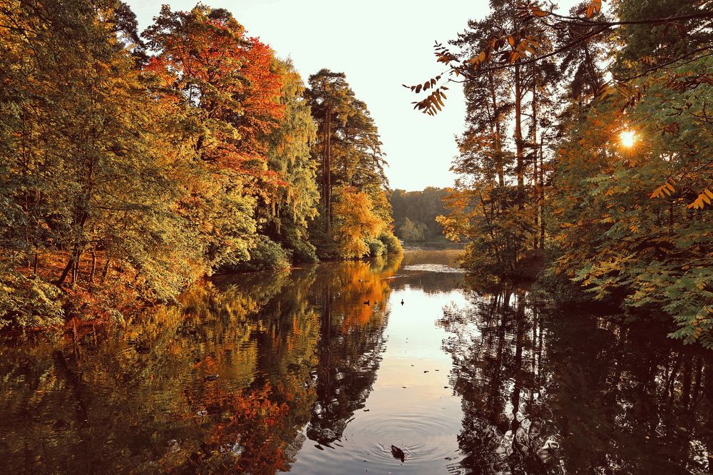 Photograph by Алексей Зимин