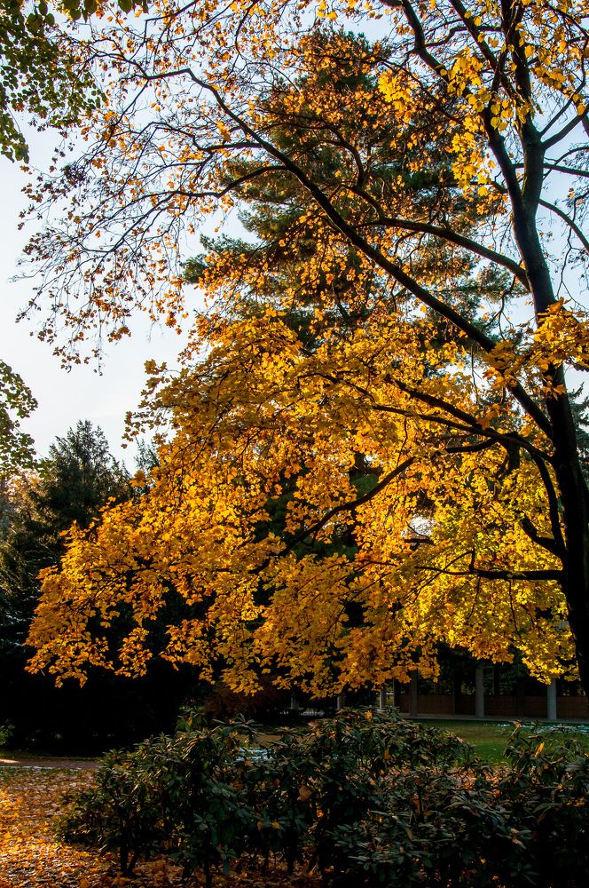 Photograph by Milan Slama