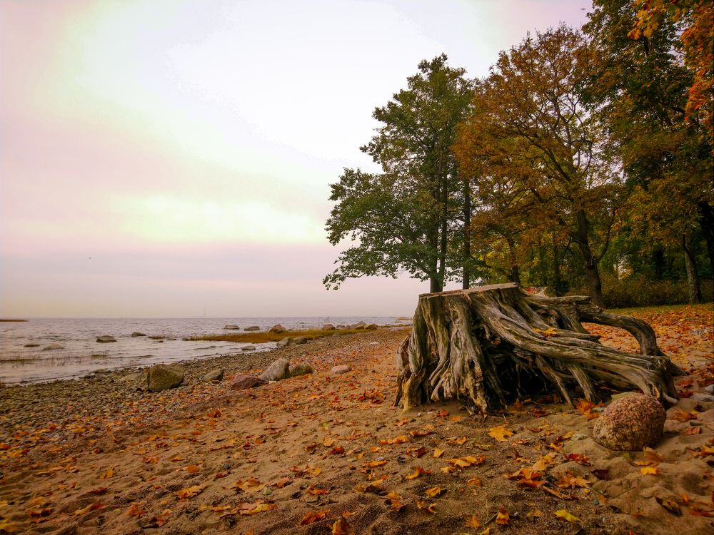 Фотография автора Ксения