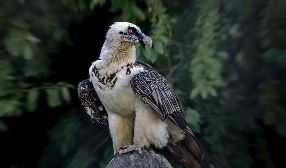 Photograph by Сергей Аникин