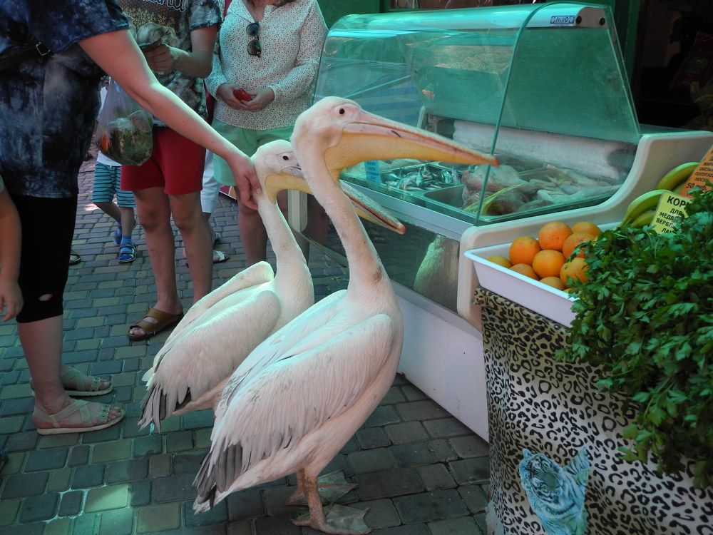 Photograph by Виталий Са