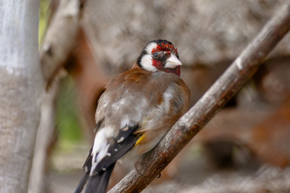 Photograph by Евгений Конов