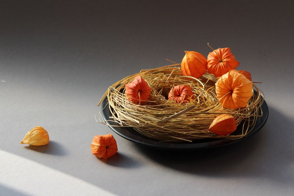 Photograph by Сироткина Нина