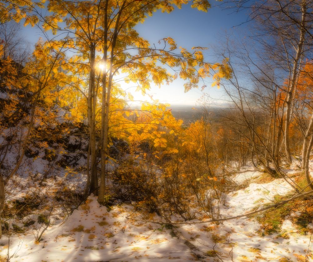 Photograph by Абрамов Денис