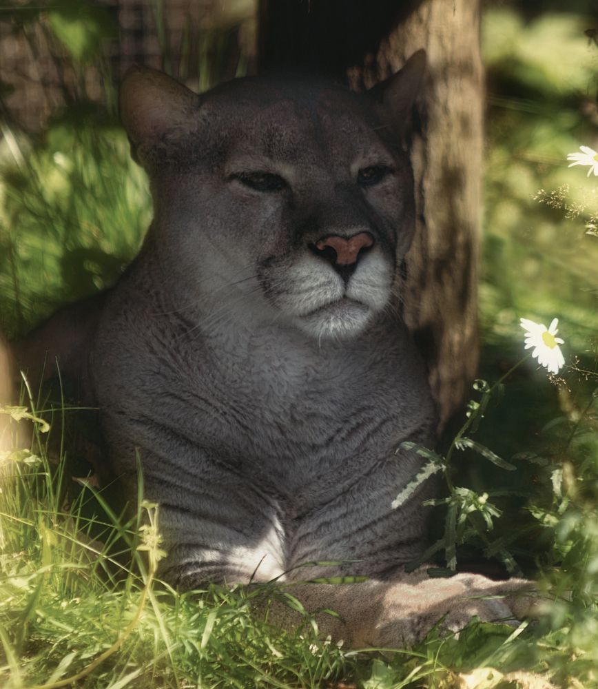 Знойный полдень