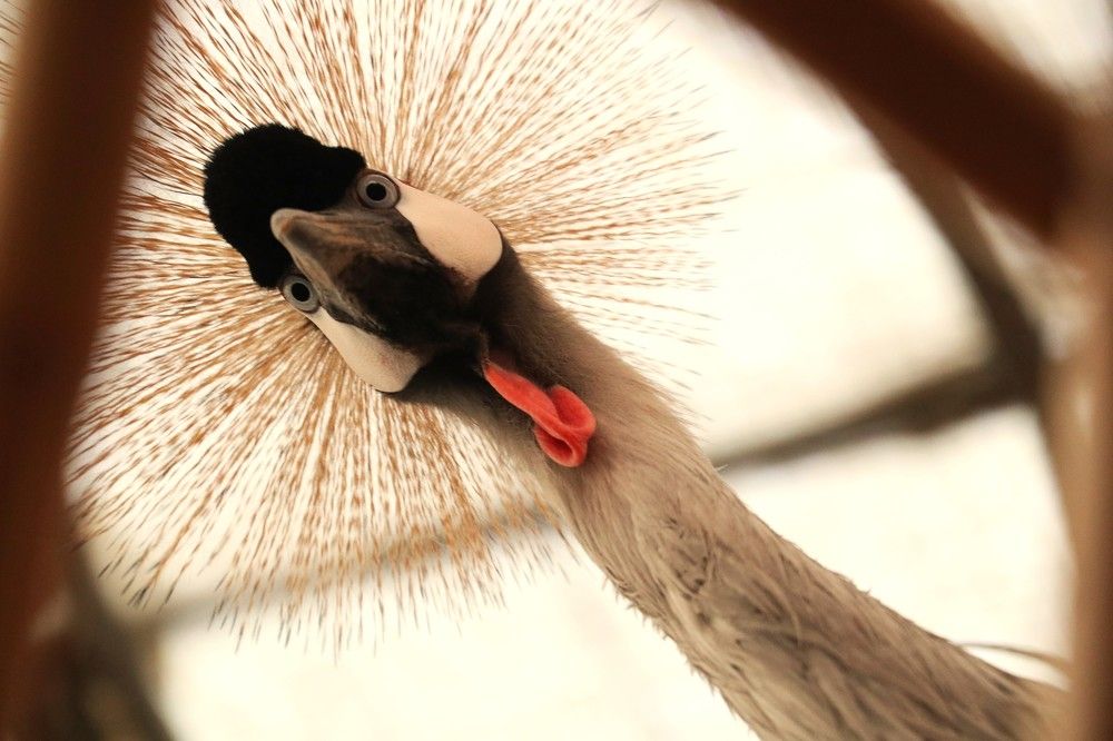 Photograph by Zahra HassanPour