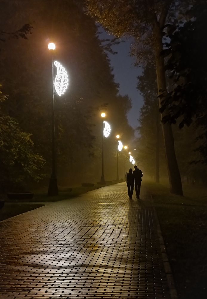 Фотография автора Светлана Алексеева