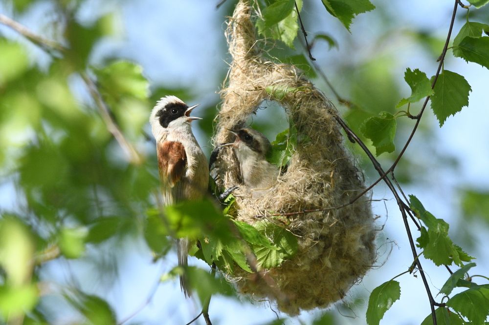 Photograph by Виталий Попов