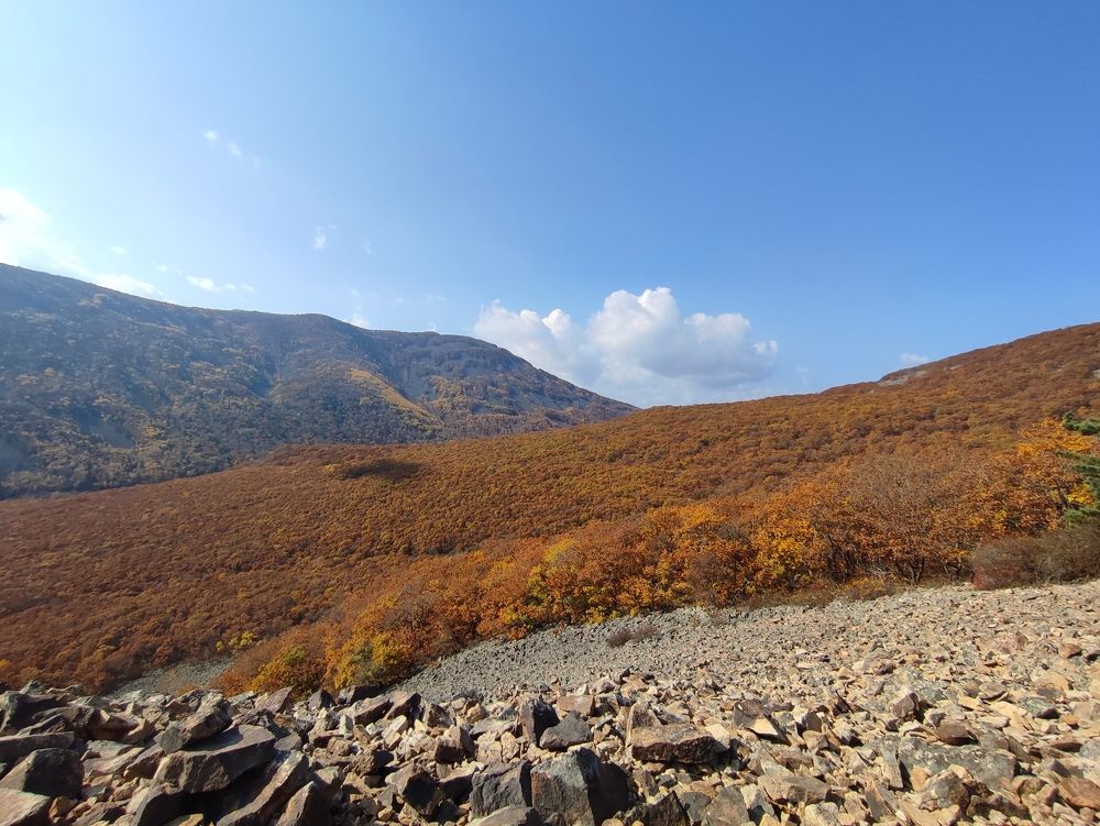 Photograph by Козлова Ольга