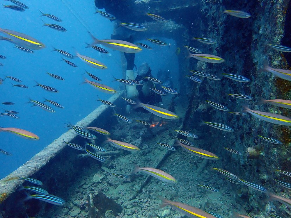 Photograph by Алексей Амилющенко