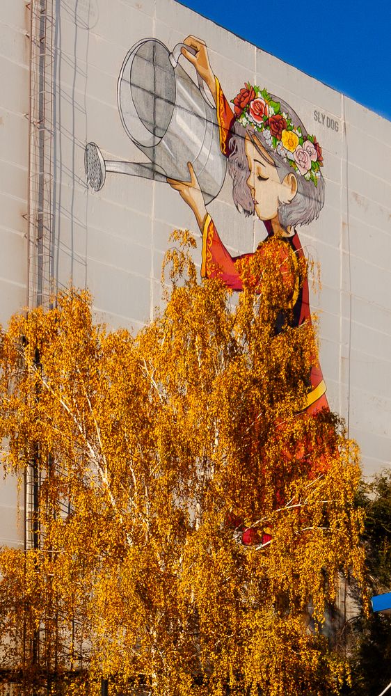 девочка Мира