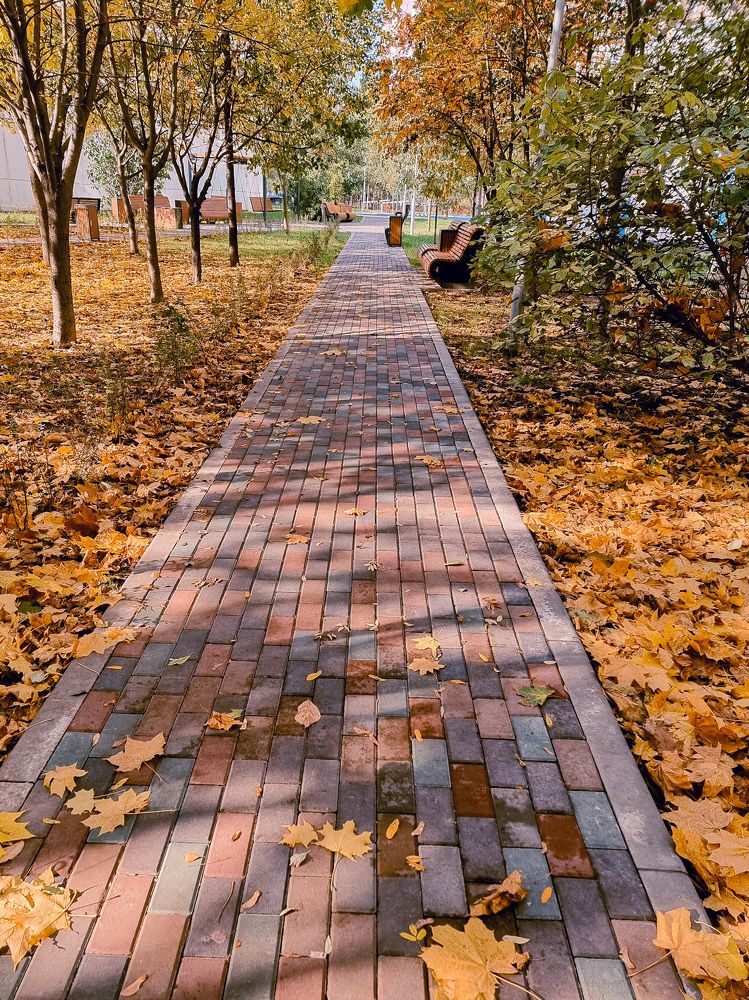 Фотография автора Светлана Алексеева