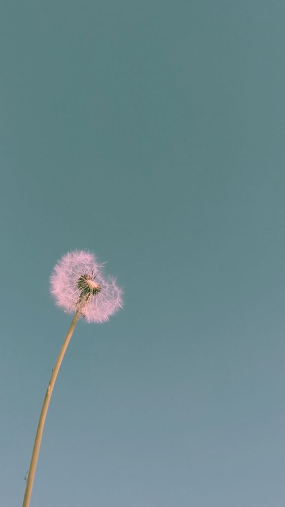 Photograph by Мария Таскаева