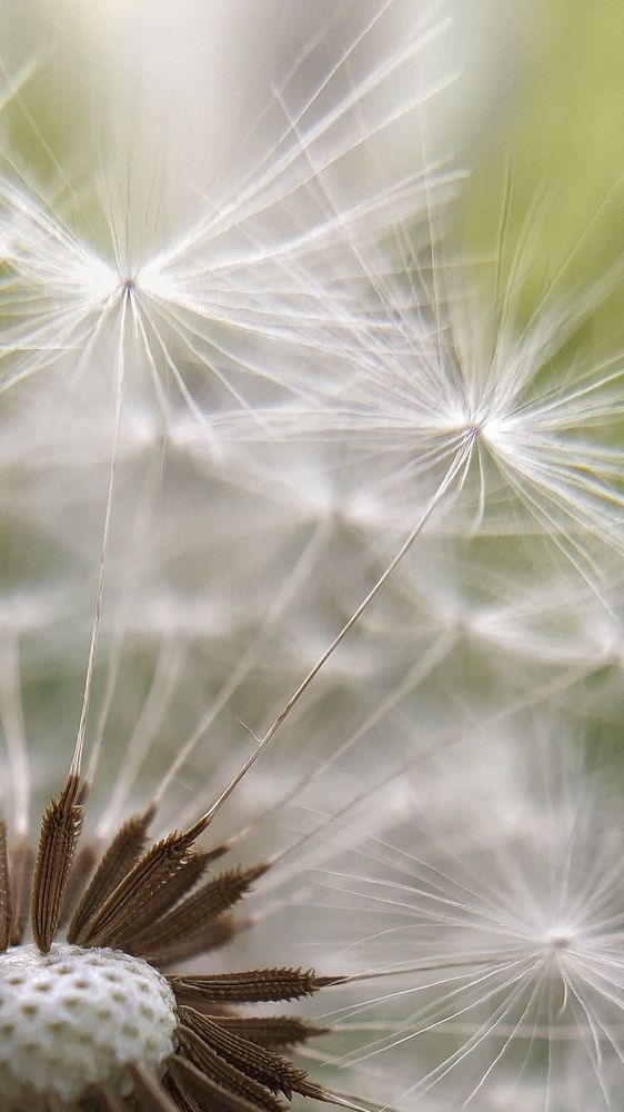 Photograph by Мария Таскаева