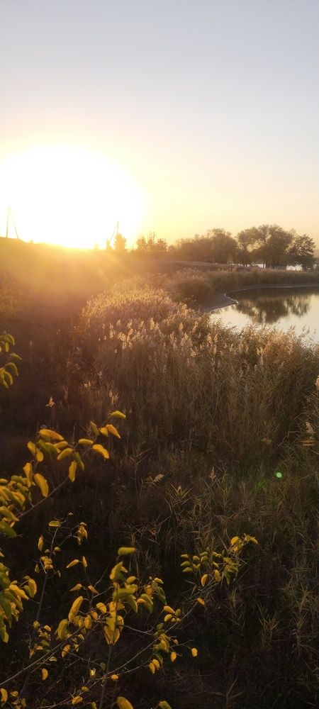 Photograph by Дарина Макарова