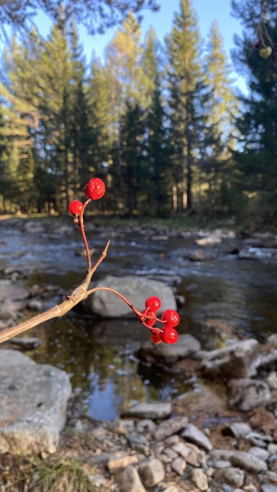 Photograph by Наталья Богаткина